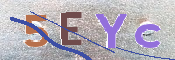 CAPTCHA (Şahıs Denetim Kodu) Resmi