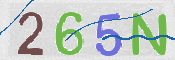 CAPTCHA (Şahıs Denetim Kodu) Resmi