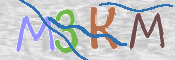 CAPTCHA (Şahıs Denetim Kodu) Resmi