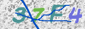 CAPTCHA (Şahıs Denetim Kodu) Resmi