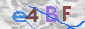 CAPTCHA (Şahıs Denetim Kodu) Resmi