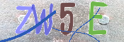 CAPTCHA (Şahıs Denetim Kodu) Resmi