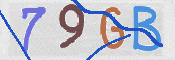 CAPTCHA (Şahıs Denetim Kodu) Resmi