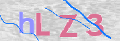 CAPTCHA (Şahıs Denetim Kodu) Resmi