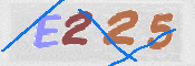 CAPTCHA (Şahıs Denetim Kodu) Resmi