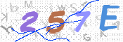 CAPTCHA (Şahıs Denetim Kodu) Resmi