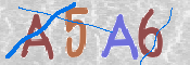 CAPTCHA (Şahıs Denetim Kodu) Resmi