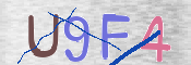 CAPTCHA (Şahıs Denetim Kodu) Resmi