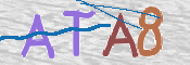 CAPTCHA (Şahıs Denetim Kodu) Resmi