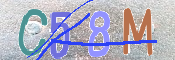 CAPTCHA (Şahıs Denetim Kodu) Resmi