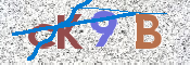CAPTCHA (Şahıs Denetim Kodu) Resmi