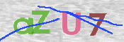 CAPTCHA (Şahıs Denetim Kodu) Resmi