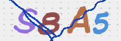 CAPTCHA (Şahıs Denetim Kodu) Resmi
