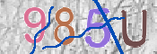 CAPTCHA (Şahıs Denetim Kodu) Resmi