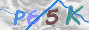 CAPTCHA (Şahıs Denetim Kodu) Resmi