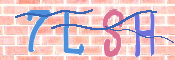 CAPTCHA (Şahıs Denetim Kodu) Resmi