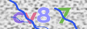 CAPTCHA (Şahıs Denetim Kodu) Resmi