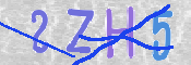 CAPTCHA (Şahıs Denetim Kodu) Resmi
