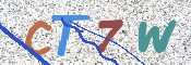 CAPTCHA (Şahıs Denetim Kodu) Resmi