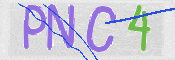 CAPTCHA (Şahıs Denetim Kodu) Resmi