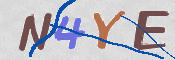 CAPTCHA (Şahıs Denetim Kodu) Resmi