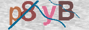 CAPTCHA (Şahıs Denetim Kodu) Resmi