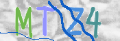 CAPTCHA (Şahıs Denetim Kodu) Resmi