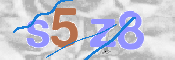CAPTCHA (Şahıs Denetim Kodu) Resmi