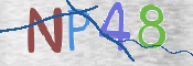 CAPTCHA (Şahıs Denetim Kodu) Resmi