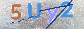 CAPTCHA (Şahıs Denetim Kodu) Resmi
