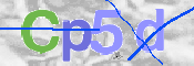 CAPTCHA (Şahıs Denetim Kodu) Resmi