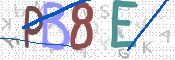 CAPTCHA (Şahıs Denetim Kodu) Resmi