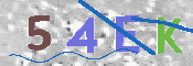 CAPTCHA (Şahıs Denetim Kodu) Resmi