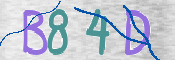 CAPTCHA (Şahıs Denetim Kodu) Resmi