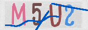 CAPTCHA (Şahıs Denetim Kodu) Resmi