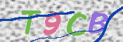 CAPTCHA (Şahıs Denetim Kodu) Resmi