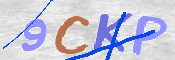 CAPTCHA (Şahıs Denetim Kodu) Resmi