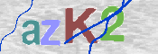 CAPTCHA (Şahıs Denetim Kodu) Resmi