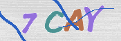CAPTCHA (Şahıs Denetim Kodu) Resmi