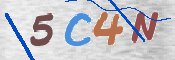 CAPTCHA (Şahıs Denetim Kodu) Resmi