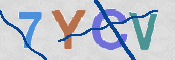 CAPTCHA (Şahıs Denetim Kodu) Resmi