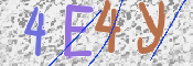 CAPTCHA (Şahıs Denetim Kodu) Resmi