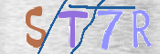 CAPTCHA (Şahıs Denetim Kodu) Resmi