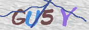 CAPTCHA (Şahıs Denetim Kodu) Resmi
