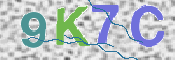 CAPTCHA (Şahıs Denetim Kodu) Resmi