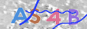 CAPTCHA (Şahıs Denetim Kodu) Resmi