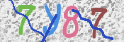 CAPTCHA (Şahıs Denetim Kodu) Resmi