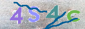 CAPTCHA (Şahıs Denetim Kodu) Resmi