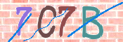 CAPTCHA (Şahıs Denetim Kodu) Resmi