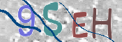 CAPTCHA (Şahıs Denetim Kodu) Resmi